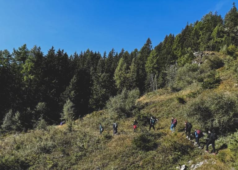 En çà en là PALP Finhaut